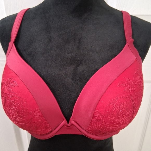 NEW Ambrielle' Blood Red Embroidered Roses Bra     Size 40D - Picture 2 of 8